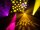 Futurelight DMH-640 Profile CMY Moving-Head Spot