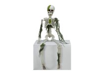 Halloween Skelett mit Moos, 40cm