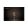 ADJ Par Z300 3K, 300 Watt warmweiss LED, man. Zoom, DMX, Aria X2