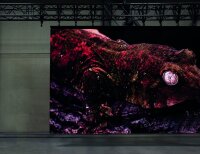 DMT Alpha Serie A2.6i, LED-Videoscreen-Modul, indoor, 50x50cm