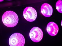 Eurolite LED Pixel Matrix Panel 2x5 RGB/WW