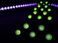 Eurolite LED Pixel Matrix Bar 10 RGB/WW