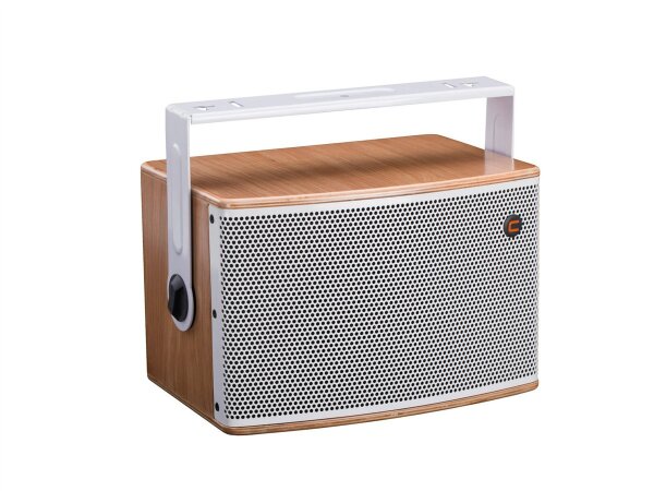 Celto Acoustique iFIX10 FR 2-Wege Koaxial Lautsprecher natur/weiß