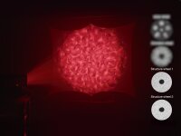 Eurolite LED EVO-120 QCL Multi-Effekt Projektor