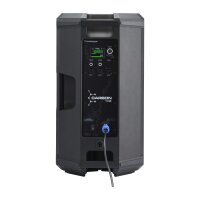 Audiophony CARBON12A