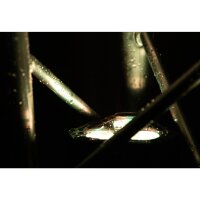 Briteq BTI-TRUSSLITE