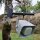 Contestage SUP-TreeBar