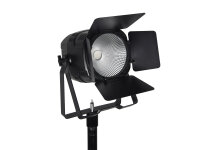 Eurolite LED Theatre COB 100 RGBAL