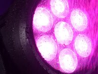 Eurolite LED IP PAR 7x15W RGBL Spot