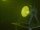 Eurolite LED SLS-30 COB RGBAL Floor