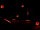 Eurolite LED RETRO 6 Bar ABL