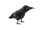 Halloween Rabe, 18cm