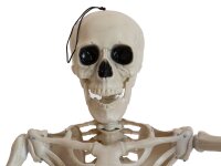 Halloween Skelett, stehend, 150 cm