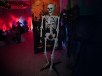 Halloween Skelett, stehend, 150 cm