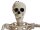 Halloween Skelett, stehend, 150 cm