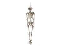 Halloween Figur Skelett formbar, animiert, 160cm