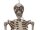 Halloween Figur Skelett formbar, animiert, 160cm