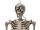 Halloween Figur Skelett formbar, animiert, 160cm