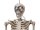Halloween Figur Skelett formbar, animiert, 160cm