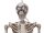Halloween Figur Skelett formbar, animiert, 160cm