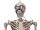 Halloween Figur Skelett formbar, animiert, 160cm