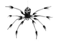 Halloween Abseilende Dekospinne, animiert, 60cm