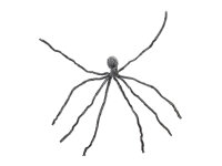 Halloween Riesenspinne, grau, 230cm