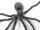 Halloween Riesenspinne, grau, 230cm
