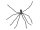 Halloween Riesenspinne, grau, 230cm