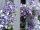 Lavender Garland, artificial, violet, 180cm