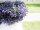 Lavender Garland, artificial, violet, 180cm