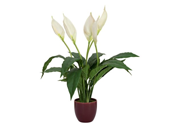 Lily Peace, artificial plant, 49cm