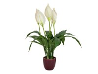 Lily Peace, artificial plant, 49cm