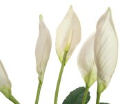 Lily Peace, artificial plant, 49cm