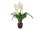 Lily Peace, artificial plant, 49cm