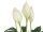 Lily Peace, artificial plant, 49cm