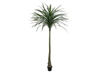 Dracena, künstlich, grün, 220cm