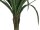 Dracena, künstlich, grün, 220cm