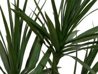 Dracena, Kunstpflanze, grün, 170cm