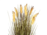 Weizen erntereif, künstlich, 60cm