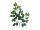 Ficus spray Benjamina, artificial, 12x