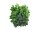 Ficus spray Benjamina, artificial, 12x