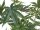 Cannabis-plant, artificial plant, 120cm