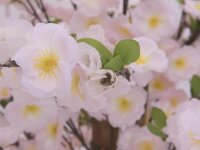Cherry tree with 3 trunks, artificial plant, pink, 150 cm