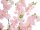 Cherry tree with 3 trunks, artificial plant, rose, 160cm