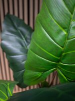 Taro Alocasia, artificial plant, 140cm