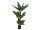 Taro Alocasia, artificial plant, 140cm