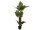 Taro Alocasia, artificial plant, 140cm