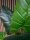 Taro Alocasia, artificial plant, 140cm