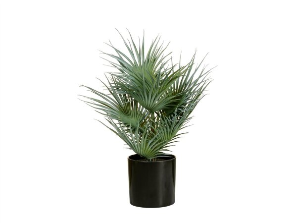 Fächerpalme, Kunstpflanze, 55cm